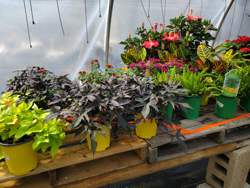 Garden Center «Beachside Gardens & Gifts», reviews and photos, 3725 US-12, Michigan City, IN 46360, USA