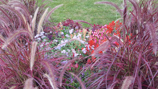 Zoo «Phillips Park Zoo», reviews and photos, 1000 Ray Moses Dr, Aurora, IL 60505, USA