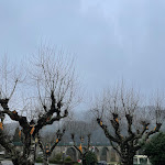 Photo n°3 de l'avis de Fernando. fait le 23/12/2021 à 12:35 sur le  Casa Museu à Vouzela