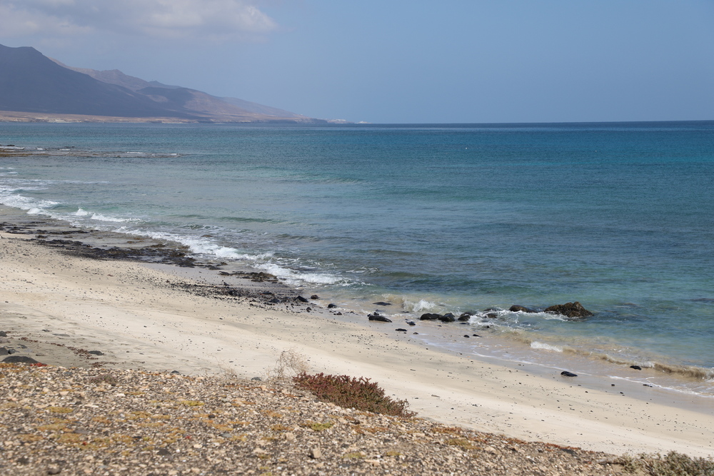 Foto de Playa "El Puertito" localizado em área natural