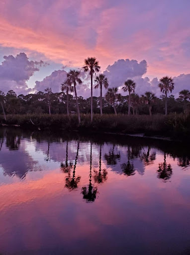 Real Estate Agency «Keller Williams Realty New Tampa», reviews and photos, 18302 Highwoods Preserve Pkwy #110, Tampa, FL 33647, USA