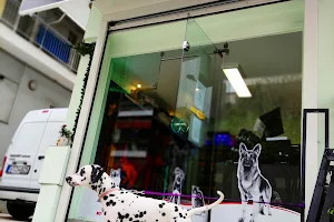 Pet Shop & Grooming "Buddies" image