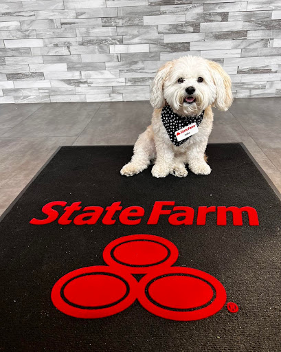 Insurance Agency «Craig Martin State Farm Insurance Agent», reviews and photos