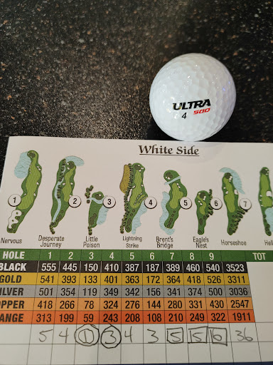 Golf Course «Royal St. Cloud Golf Links», reviews and photos, 5310 Michigan Ave, St Cloud, FL 34769, USA