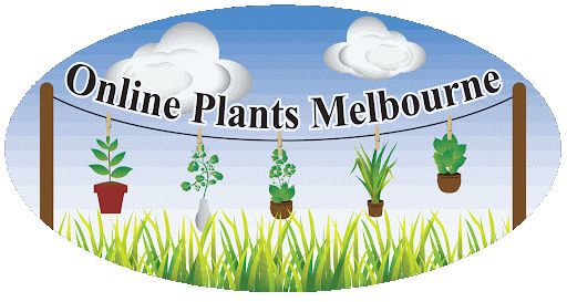 Online Plants Melbourne