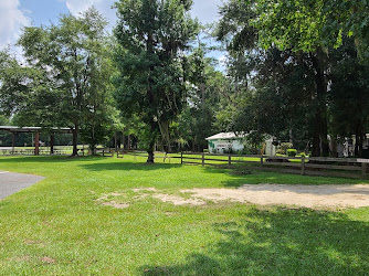 Florida Trail Gibson Park Trailhead