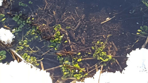 Park «Valley View Park», reviews and photos, 5575 Ozark Avenue North, Oak Park Heights, MN 55082, USA