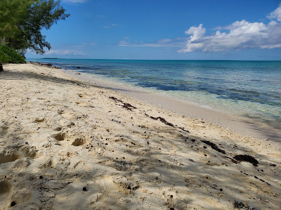 Jaw's beach
