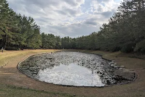 Misogi Pond image