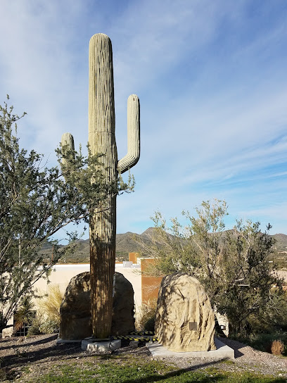 Caroline Bartol Preserve at Saguaro Hill