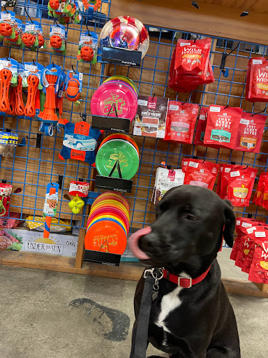 Pet Supply Store «BlueCollar Working Dog», reviews and photos, 1320 Glendale Blvd, Los Angeles, CA 90026, USA