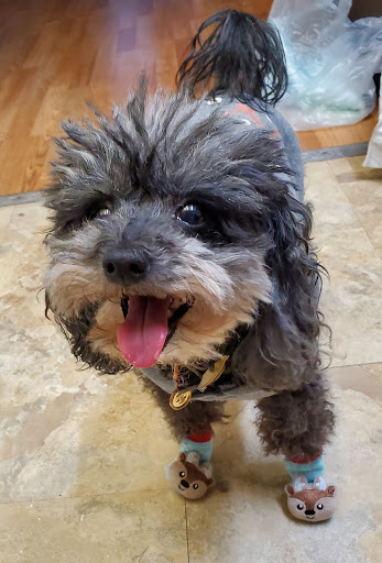 Pet Supply Store «Petco Animal Supplies», reviews and photos, 403 N 8th St, West Dundee, IL 60118, USA