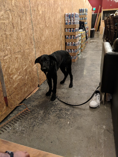 Wine Store «Veritas Wine & Craft Beer», reviews and photos, 321 Justison St, Wilmington, DE 19801, USA