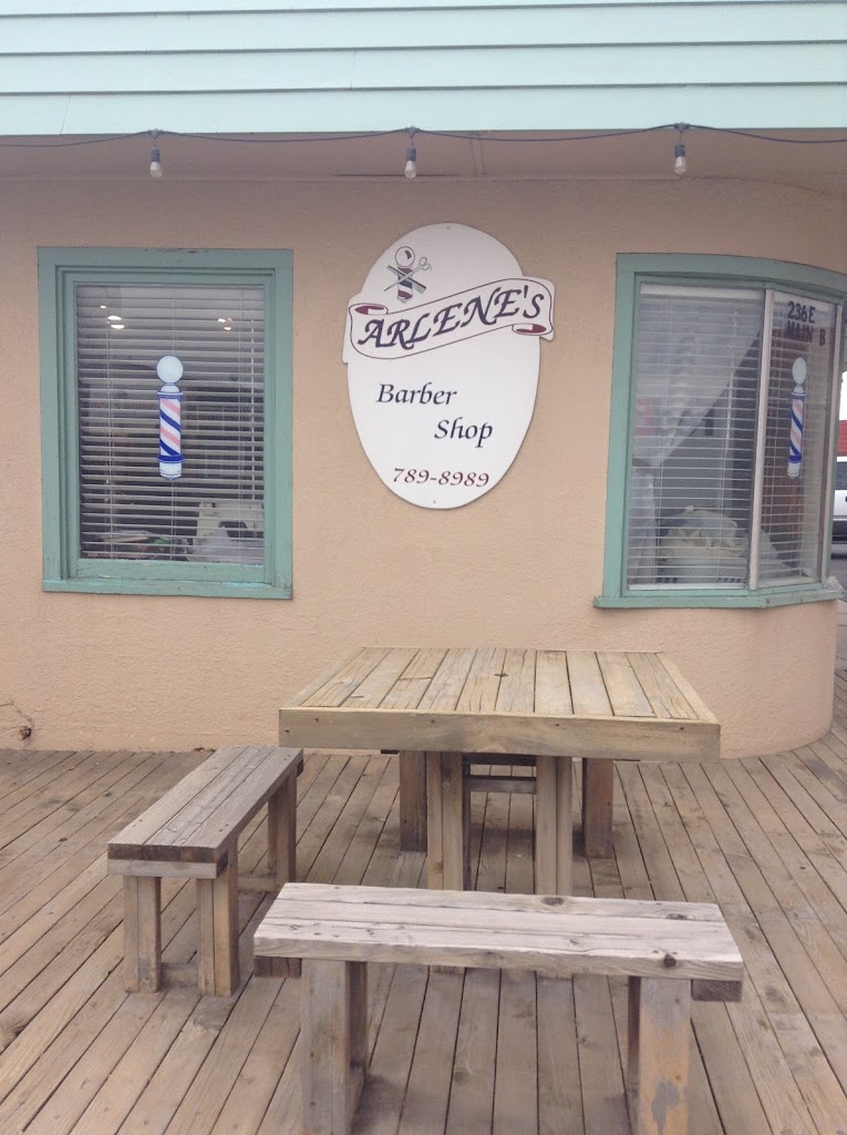 Arlene's Barber Shop 84078