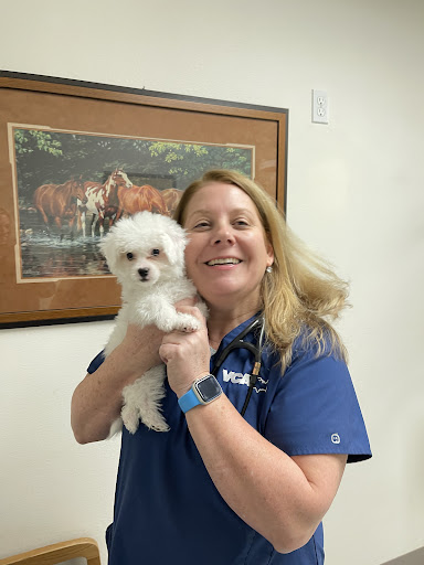 VCA Ponti Animal Hospital image