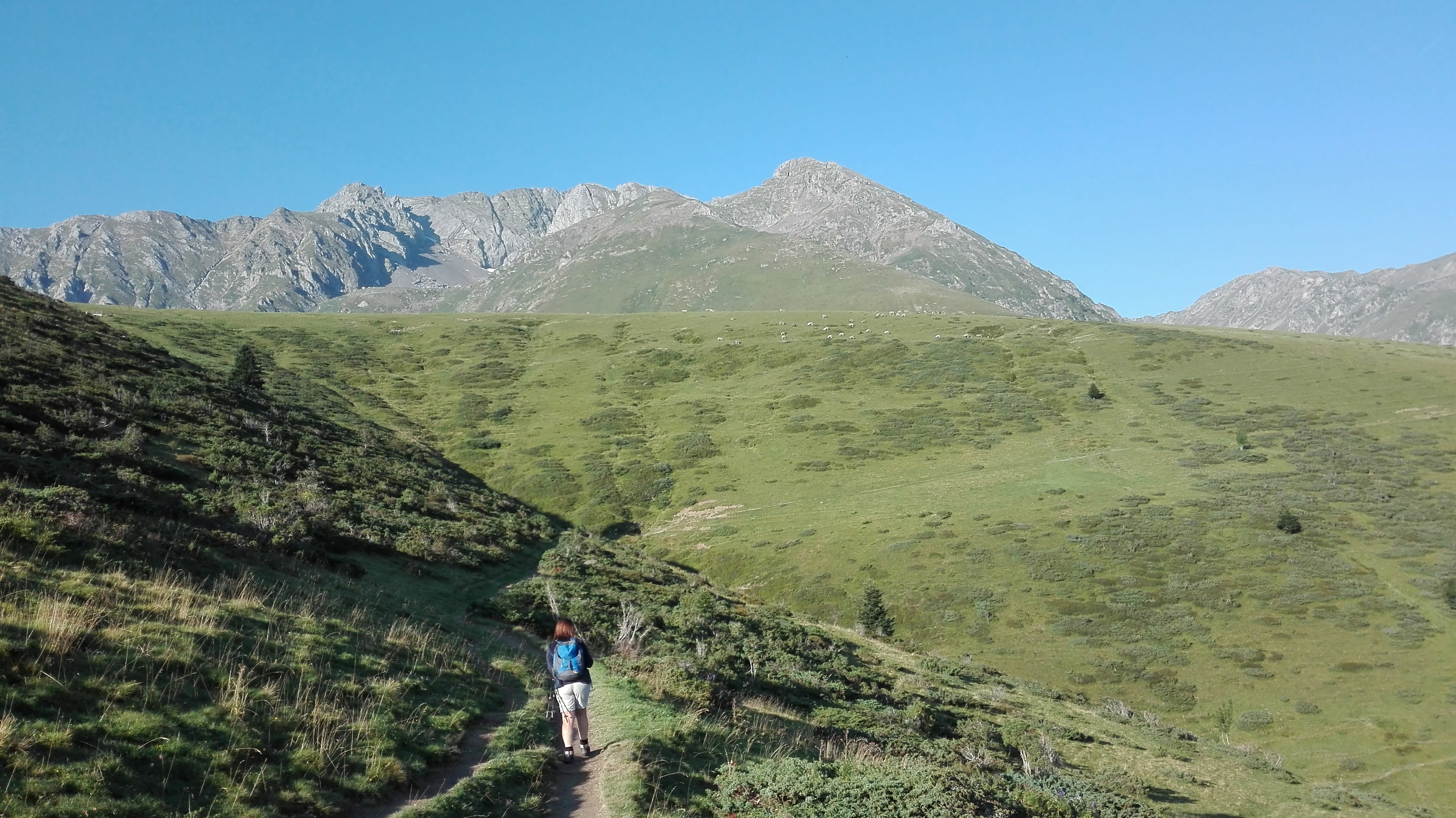 Photo n° 4 de l'avis de LOUIT.O fait le 11/08/2018 à 12:28