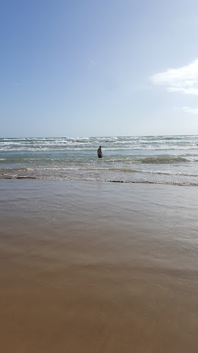 Shoe Store «DSW Designer Shoe Warehouse», reviews and photos, 3300 W Frontage Rd, McAllen, TX 78501, USA