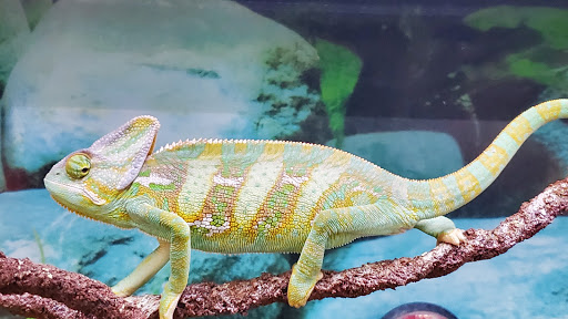 Pet Supply Store «Petco Animal Supplies», reviews and photos, 18578 Coastal Hwy #12, Rehoboth Beach, DE 19971, USA