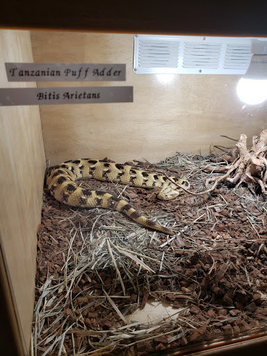 Pet Store «Off The Hook Exotics Pet Shop», reviews and photos, 926 5th Ave, Coraopolis, PA 15108, USA