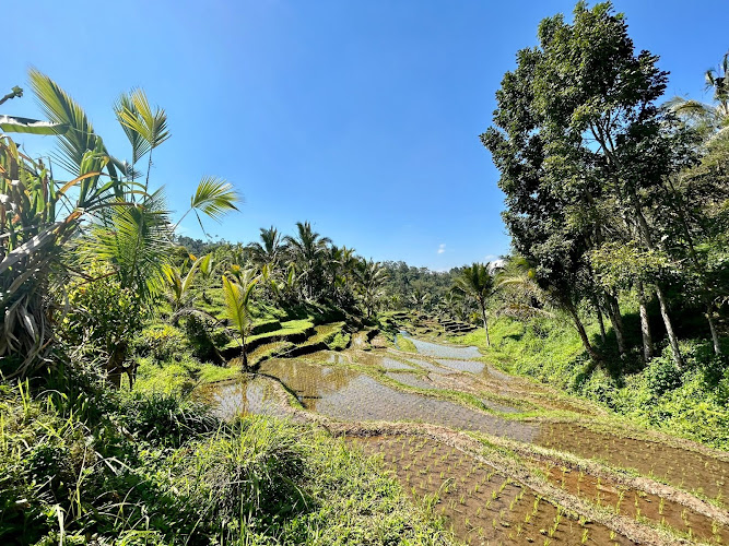 Gunung Batukaru