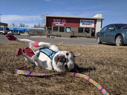 Donut Shop «Sweet Rings Donuts and Deli», reviews and photos, 3001 13th Ave S, Fargo, ND 58103, USA