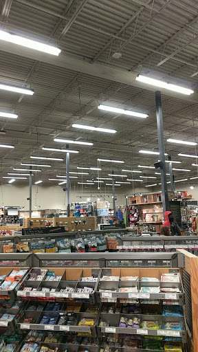 Camping Store «REI», reviews and photos, 12634 N Paradise Village Pkwy W, Phoenix, AZ 85032, USA