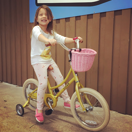 Bicycle Store «Blue Line Bike Labs», reviews and photos, 3302 White Oak Dr, Houston, TX 77007, USA