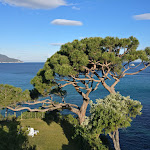 Photo n°2 de l'avis de renato. fait le 14/05/2019 à 06:58 sur le  Hotel Viticcio, Elba Island à Viticcio