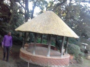 Pjd Thatch - photo 1