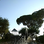 Photo n°10 de l'avis de Elicec. fait le 20/08/2018 à 23:22 sur le  Mercure Villa Romanazzi Carducci Bari à Bari