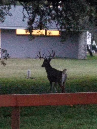 Park «McGimsey Scout Park», reviews and photos, 10810 Wedgewood Dr, San Antonio, TX 78230, USA