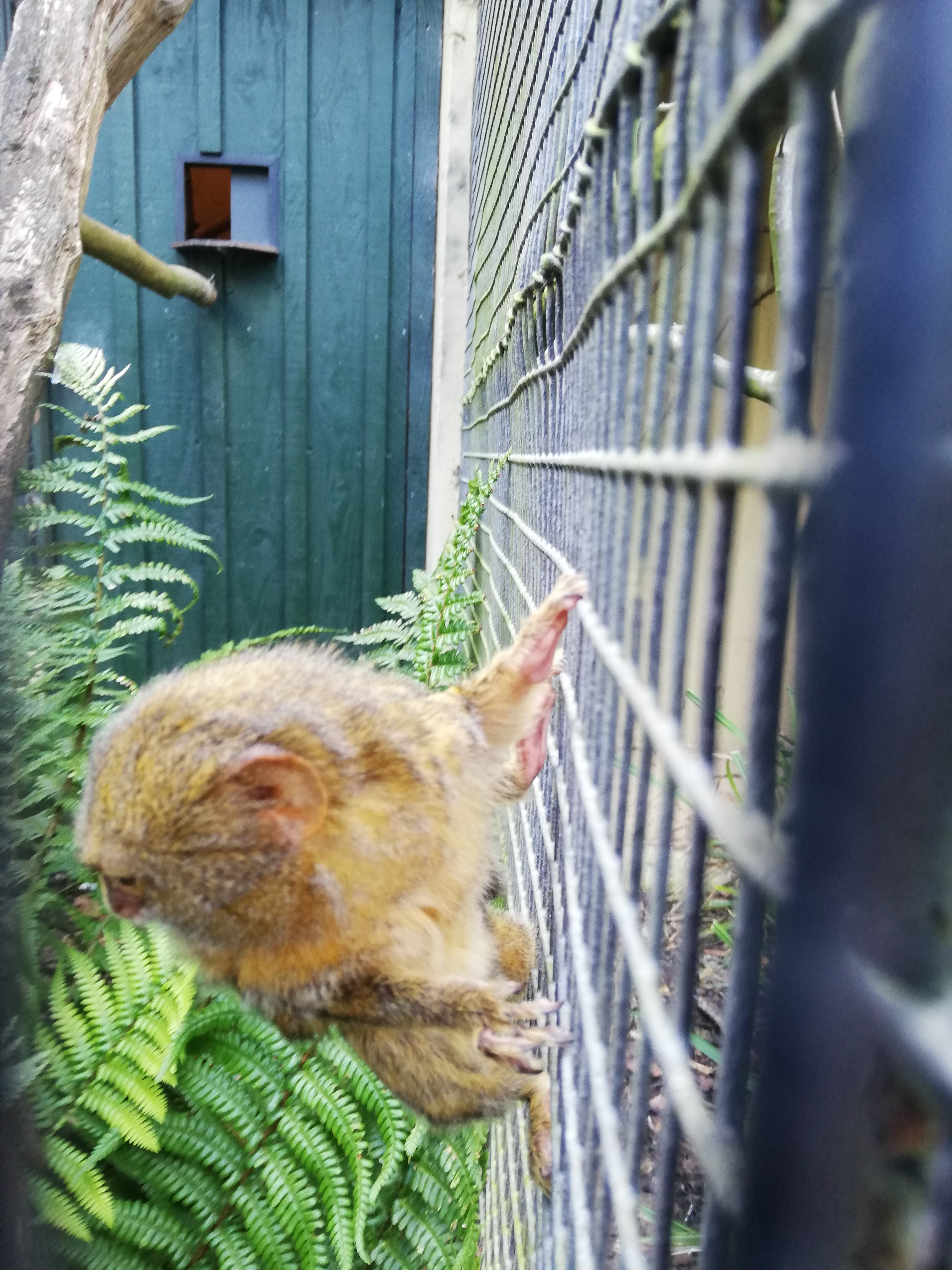 Photo n° 11 de l'avis de Jérôme.r fait le 09/10/2021 à 23:59