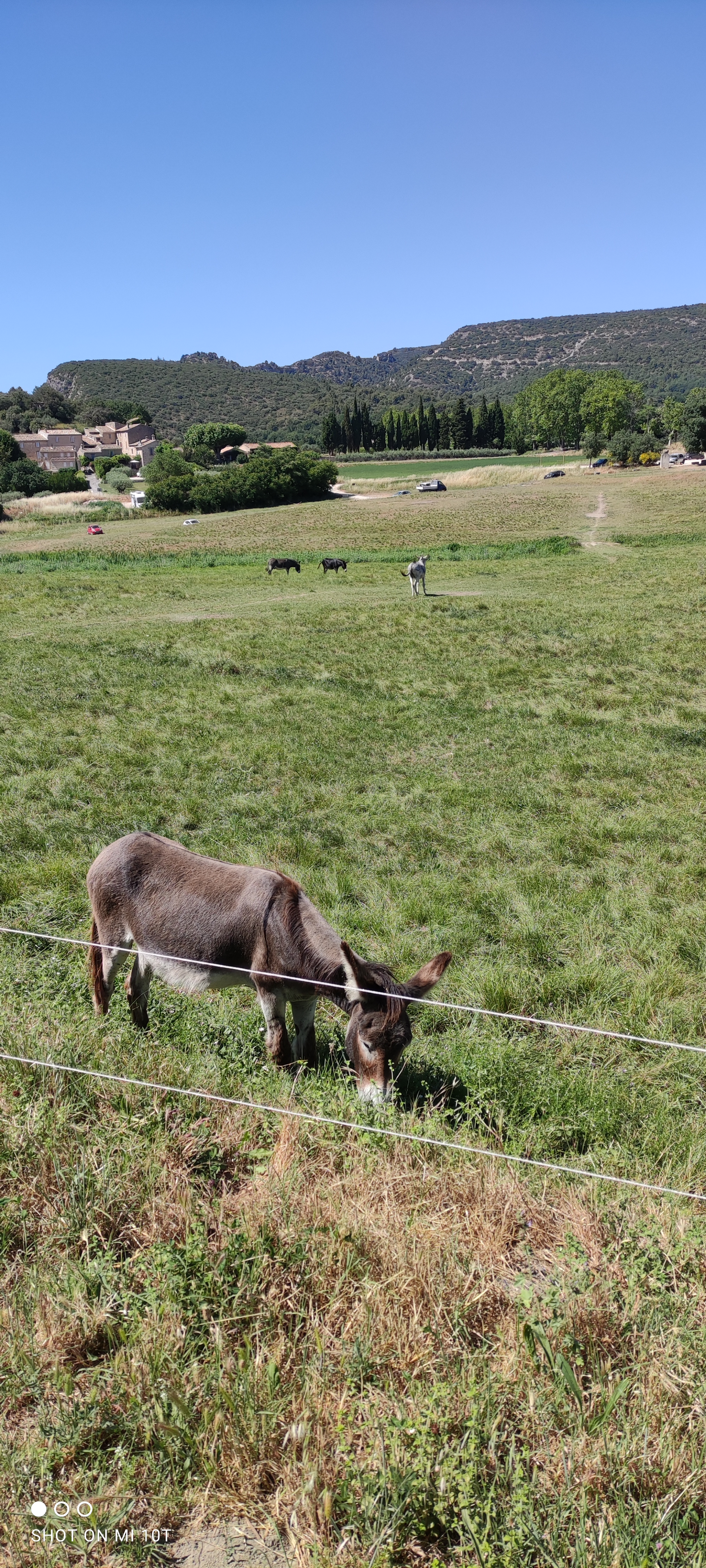 Photo n° 1 de l'avis de Nadine.a fait le 30/06/2021 à 15:50