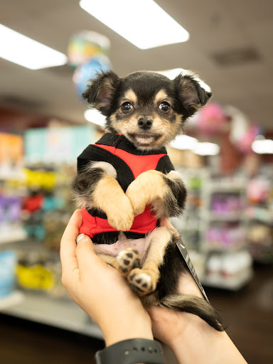 Pet Store «Petland of Plantation», reviews and photos, 801 S University Dr, Plantation, FL 33324, USA