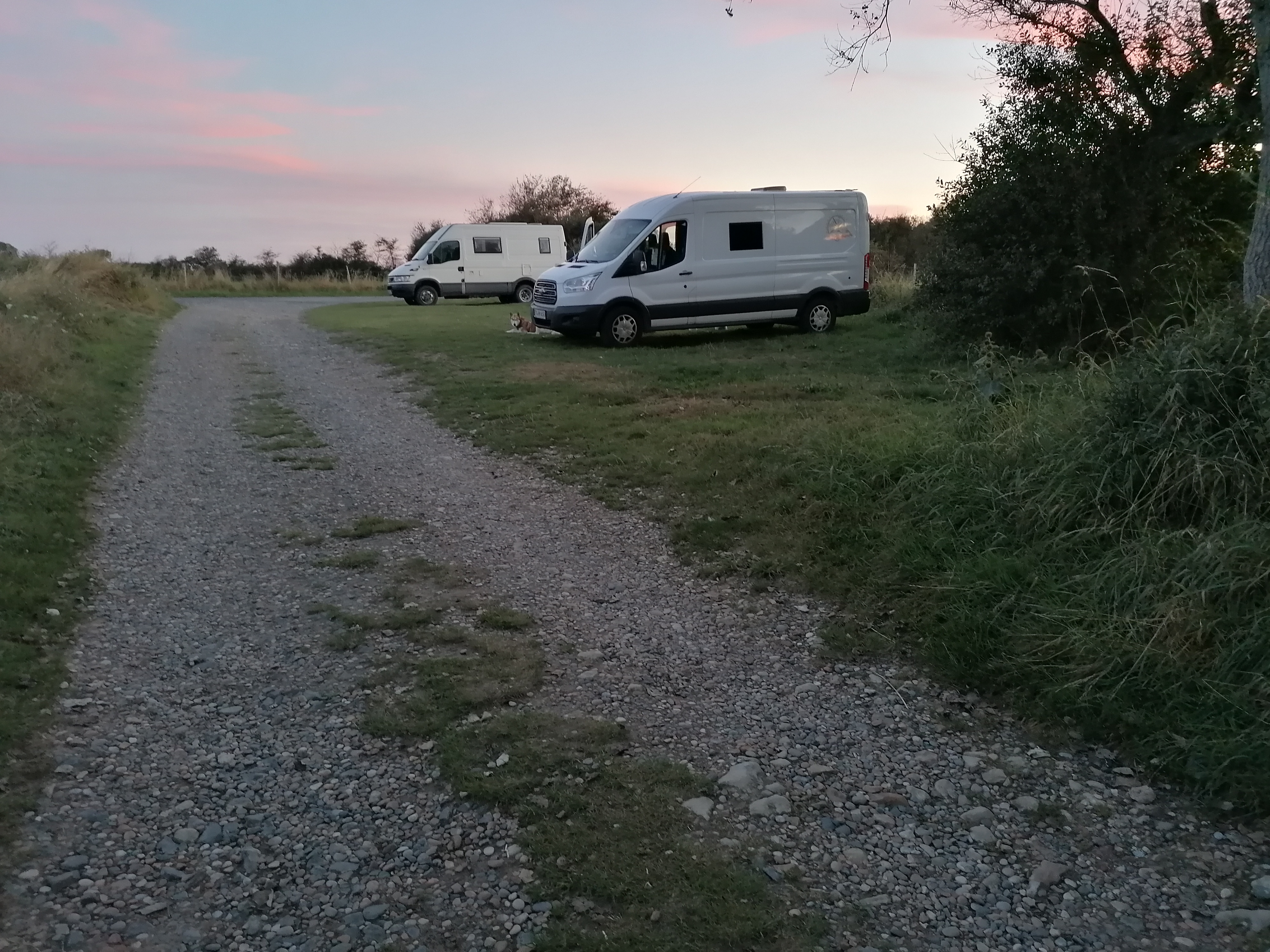 Photo n° 1 de l'avis de Liane.e fait le 21/09/2021 à 18:37