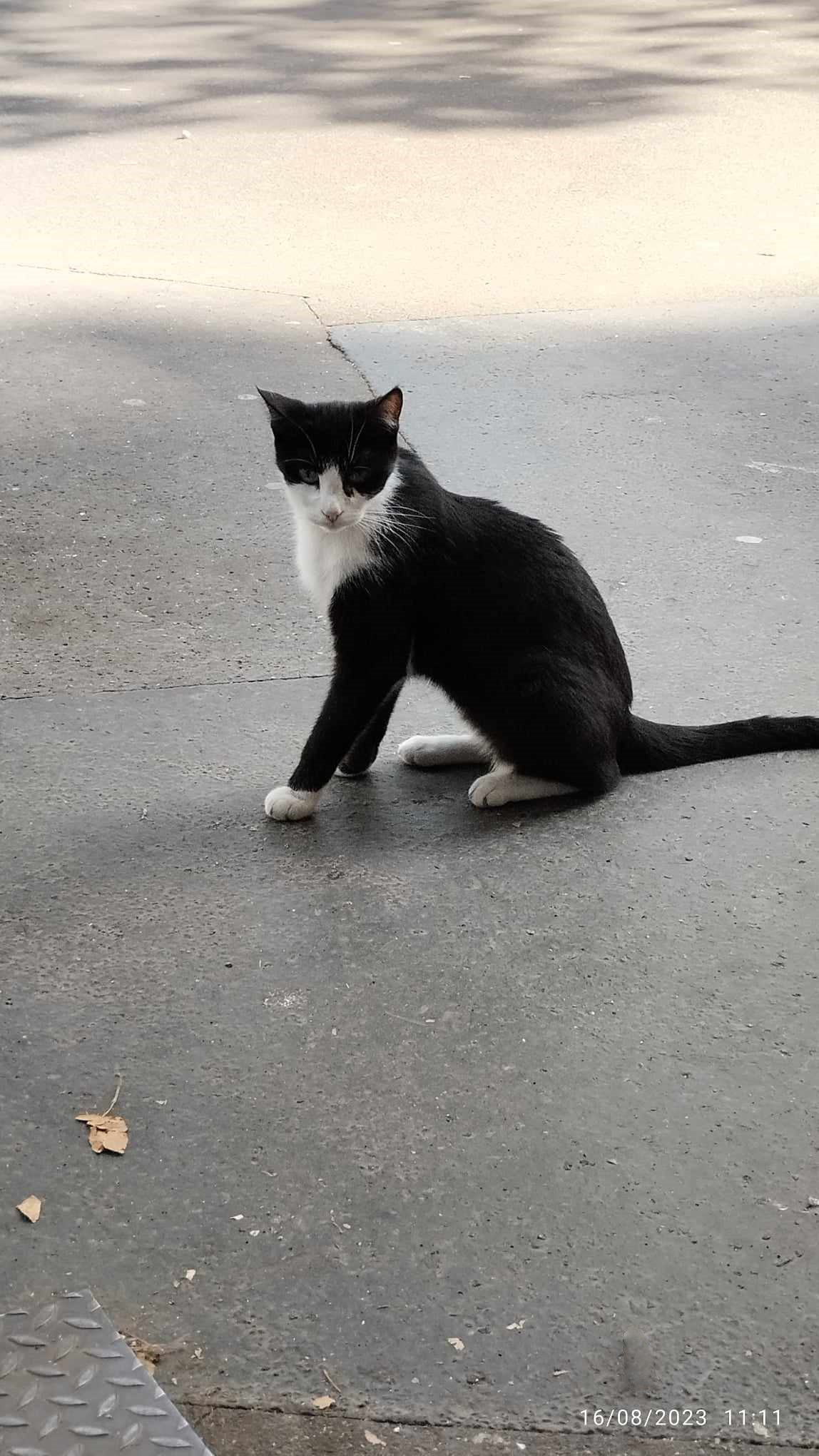 Photo n° 5 de l'avis de dexter. fait le 20/06/2022 à 13:52