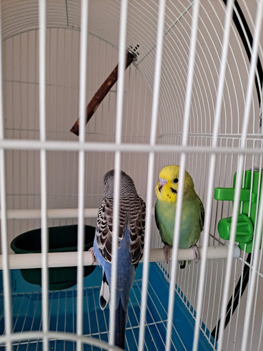 Pet Supply Store «Pet Supplies Plus», reviews and photos, 1268 N Eisenhower Dr, Beckley, WV 25801, USA