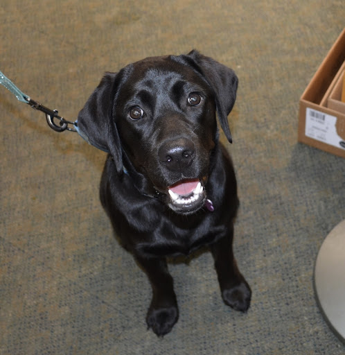 Pet Supply Store «The Natural Pet Enrichment Center», reviews and photos, 6720 Royalton Rd, North Royalton, OH 44133, USA