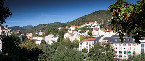 hôtels Hotel-Restaurant Le Chatel Royat