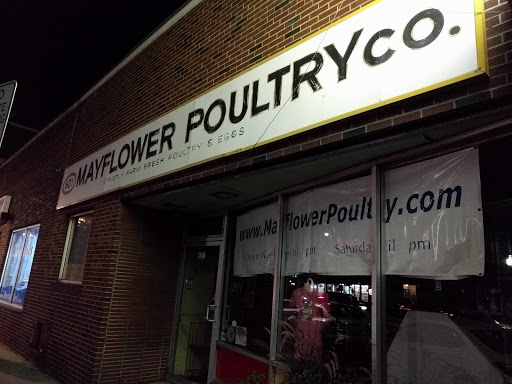 Butcher Shop «Mayflower Poultry Co», reviews and photos, 621 Cambridge St, Cambridge, MA 02141, USA