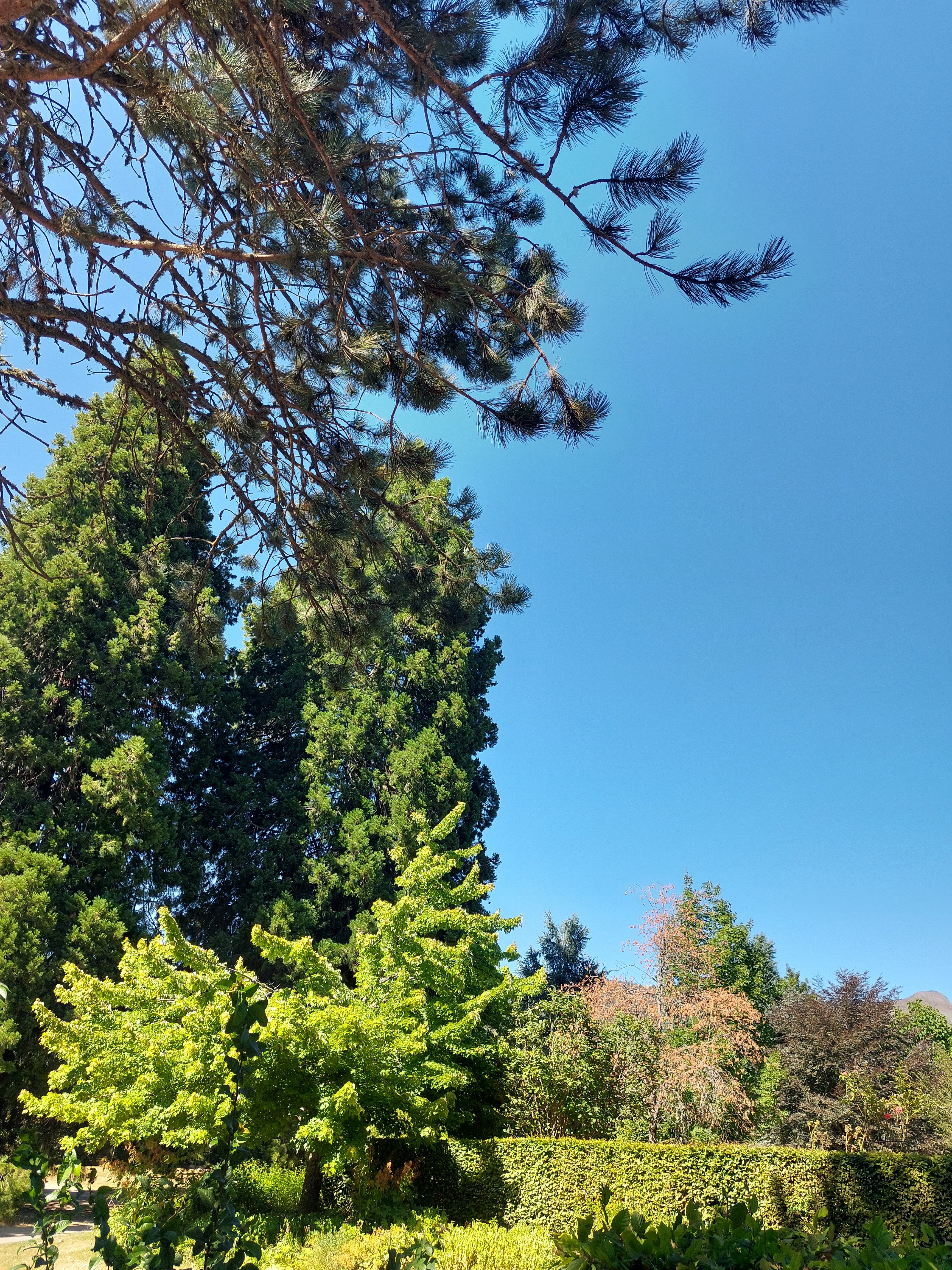 Photo n° 3 de l'avis de Catherine.U fait le 10/08/2022 à 14:59