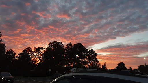 Pet Supply Store «PetSmart», reviews and photos, 10 Hazard Ave, Enfield, CT 06082, USA