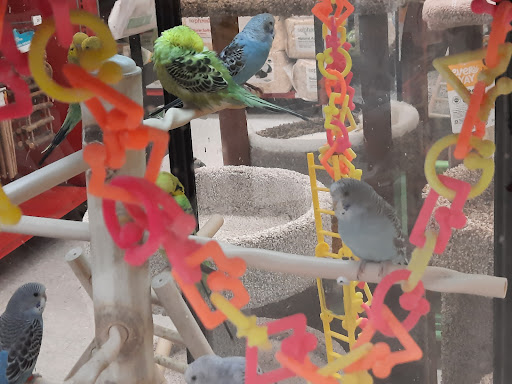 Pet Supply Store «Petco Animal Supplies», reviews and photos, 753 53rd Ave NE, Fridley, MN 55421, USA