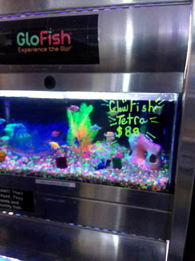 Pet Store «Fish Aquariums & Stuff», reviews and photos, 6112 W Fairview Ave, Boise, ID 83704, USA