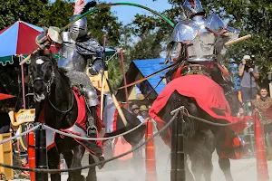 Sarasota Medieval Fair image