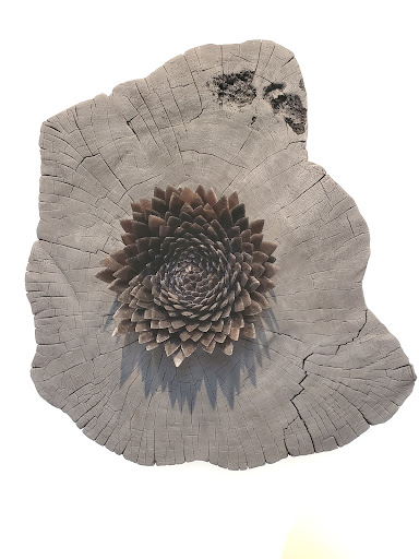 Art Gallery «Tanya Bonakdar Gallery», reviews and photos, 521 W 21st St #1, New York, NY 10011, USA