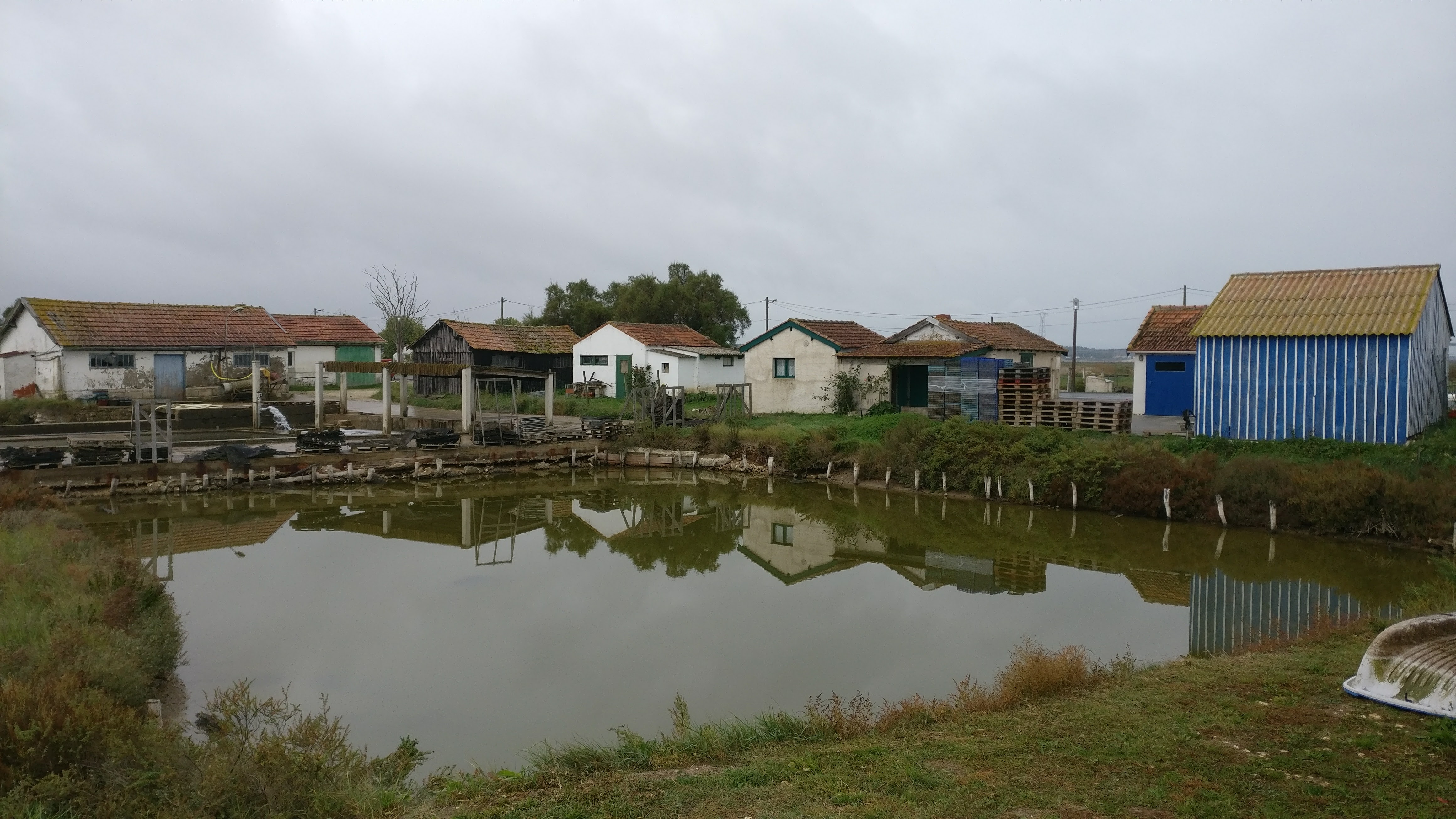 Photo n° 1 de l'avis de Pauline.e fait le 31/10/2017 à 20:56