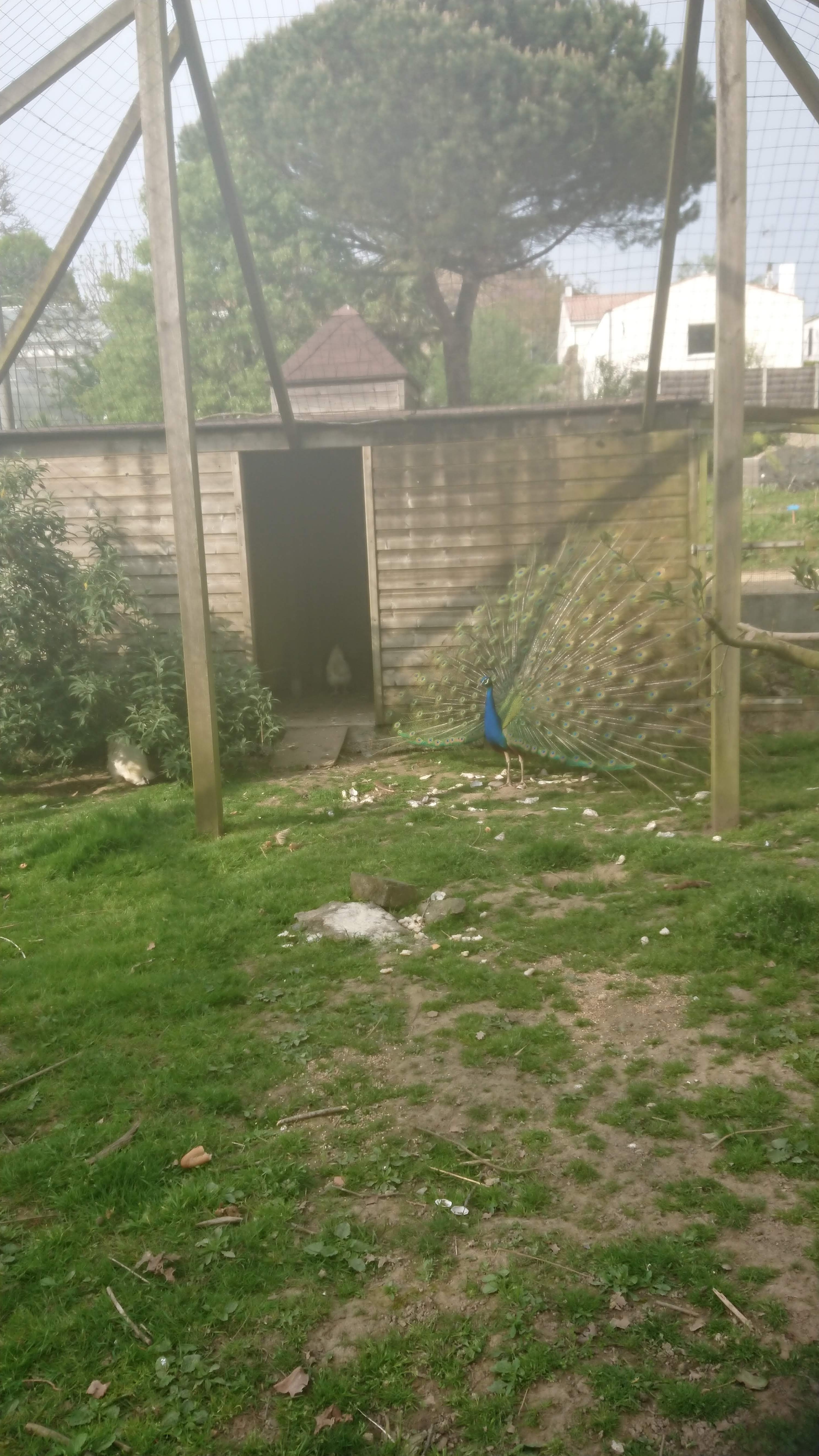 Photo n° 2 de l'avis de Ludwina.E fait le 24/04/2019 à 15:22