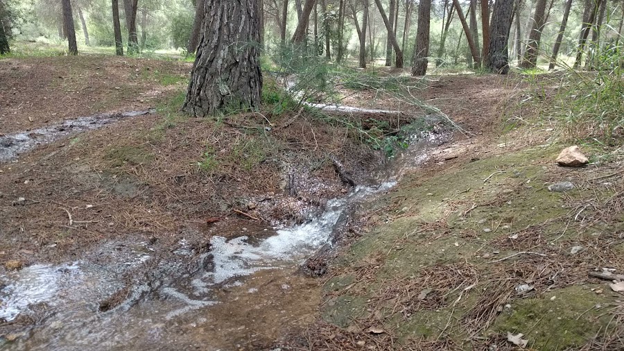 Área recreativa Los Pájaros