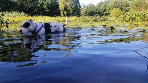 Park «Eisenhower Park», reviews and photos, 780 North St, Milford, CT 06461, USA